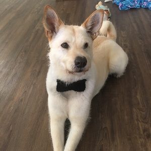 Meet your Posher, Kristin